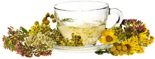 Фитопрепараты