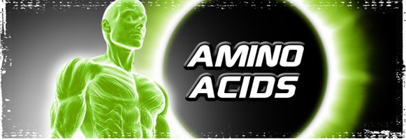 Аминокислоты